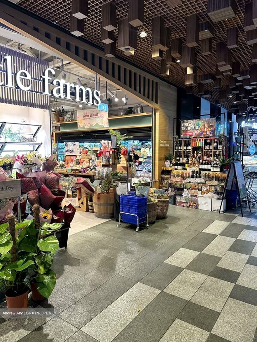 Serangoon Garden Village (D19), Shop House #569586601